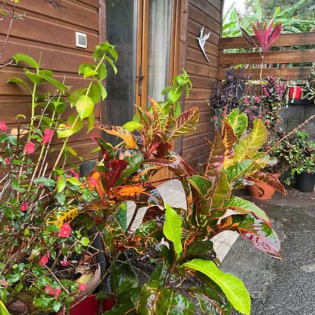 Lakour Fleurie - Ex La Case Creole Sainte-Rose Exterior foto